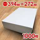 【送料無料】更紙 緩衝材 ボーガスペーパーざら紙 【394×272mm 1000枚】厚さ0.08mm (zk) / 荷造りの緩衝材 ペットシーツ 鳥カゴの敷物な...