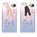 【お得な2セット】【ネコポス】極薄着圧サポーター(2枚入・1足組) ×2セット (ev) / 極薄0.2mm 通勤、立ち仕事、オフィスワークなどでだるい脚をこっ...