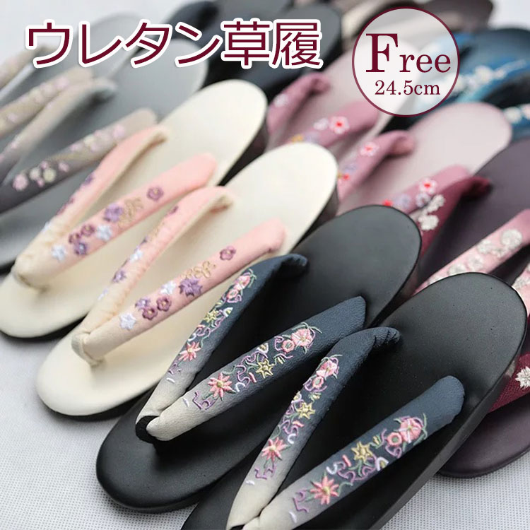 24.5cm グレー ブラック ブルー レッ