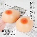 もち肌シリコンバスト A-Hカップ 本物のような揺れ方と重量感 分離型 乳がん 全摘 フリーサイズ ぷるぷる バスト補正