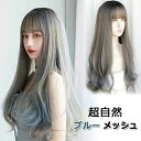 コスプレ Lolita ロリータ wig かつら エクステ 超自然 仮装 フルウィッグ メッシュ ブルー グレー レディース ロング