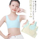 シームレス キッズ 送料無料 女の子 スポブラ 【2枚セット】 小学生 ブラジャー ファーストブラ ジュニアブラ 中学生 ジュニア