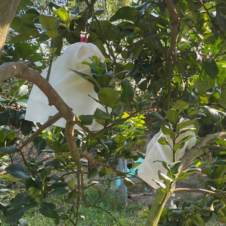 鳥よけ 種入れ 巾着結びやすい 葡萄の袋 防鳥 ぶどう 害虫鳥よけ網 植物 保護 果物...