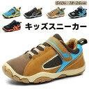 軽量 ボーイズ 運動靴 ランニング アウトドア シューズ スポーツ 子供靴 シューズ ジュニア 16.5cm 女の子 男の子 スニーカー 靴