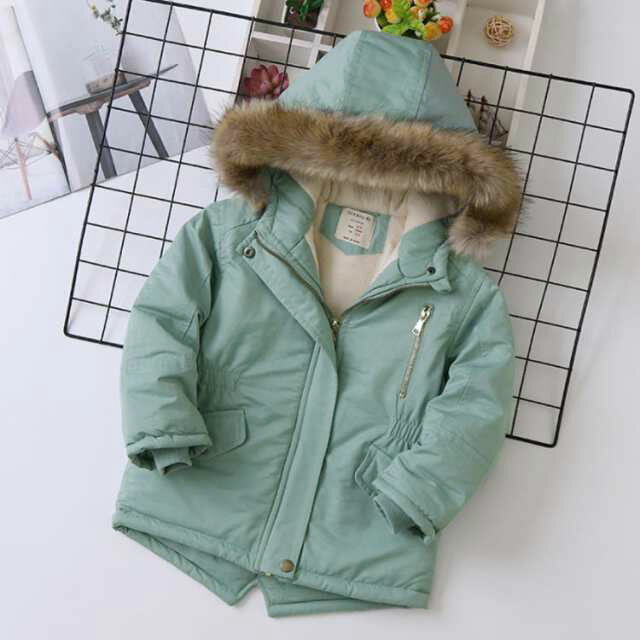 ɴ  奢  Ҷ λ å ߥ꥿꡼㥱å ֥륾 㥱å ˤλ Ҷ å