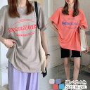 カジ シンプル ベーシック トップス インナー クルーネック 半袖 万能Tシャツ 半袖Tシャツ 半袖シャツ ティーシャツ レディース