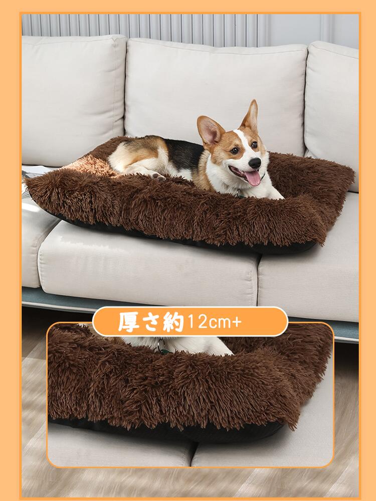 サンプル画像3