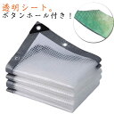 メ 折りたたみ ビニールシート 温室 家庭用 断熱シート 防水シート 透明 防塵 防風 雨よけシート 風よけ 防水 植物保護カバー PE