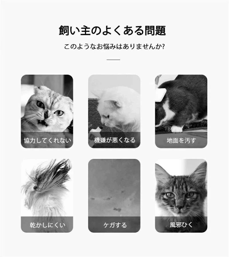 ペット用乾燥箱 ドライヤー ペット乾燥機 自動 全方位全身乾燥 除菌乾燥 48dB低騒...