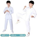 帯付き 上着 ズボン 白帯 3点/上下セット+ウエストベルト 軽量速乾 上下白帯 空手衣 初心者 ジュニア 大人 子供 空手着 子供用