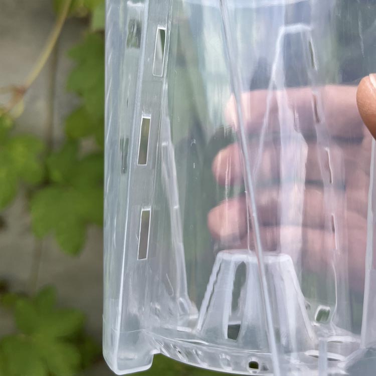 胡蝶蘭専用 植木鉢 プラスチック 通気性抜群 排水 多穴型 受皿付き 鉢 根腐れ防止 直径16cm 直径14cm 直径12cm 直径10cm 植木鉢