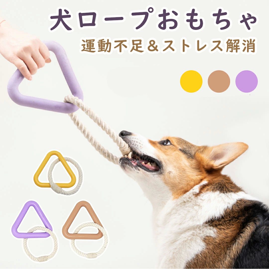   ѷ  ѳप  פ ŷåȥ Ѵ ڥåΰ ȥ쥹