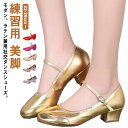 サルサ 美脚 練習用 レッスン ジャズ モダン タンゴ レディース靴 ラテンシューズ シューズ ラテンダンス レディース 社交ダンス