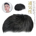白 手植え メンズウィッグ 通気性 短い 黒 人毛 ウィッグ ヘアピース ショート 人毛 トップカバー 男性用ウィッグ 蒸し暑くない