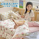 肌掛 冬用布団 掛ふとん 掛布団 肌布団 肌掛け布団 子ども 春 冬 掛け布団 子供 掛け布団 掛け布団 キッズ 布団 子供 150x200cm