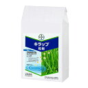 バイエル キラップ粒剤 3kg【取寄品】