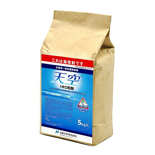 日産化学 天空1キロ粒剤 5kg【取寄品】