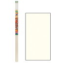 アサヒペン EXアイロン貼ふすま紙2枚入 NO.208 無地【取寄品】