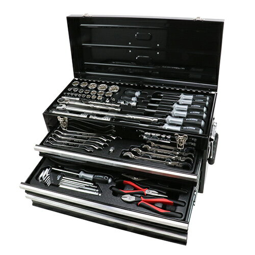 藤原産業 SK11 整備工具セット ブラック 117点 SST-19117BK［プロ向け 各種メンテナンス 自動車 自転車..