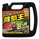 フマキラー フマキラー カダン除草王シャワーS 4.5L 4.5L