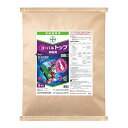 バイエル ヨーバルパワーEV箱粒剤 9kg【取寄品】