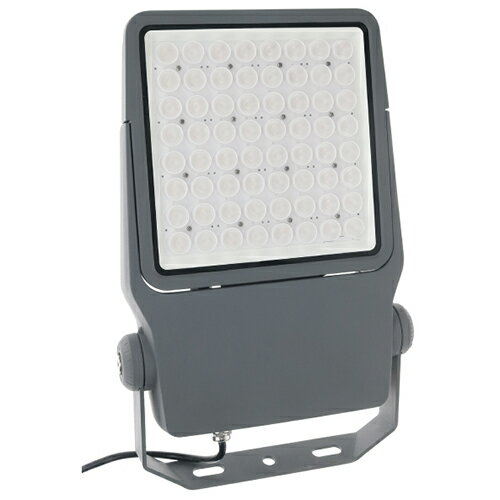 ジェフコム LEDプロジェクションライト(投照器・同期型) PDS-CS01-100FL【取寄品】