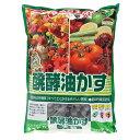 JOYアグリス 醗酵油かす(大粒) 500g【取寄品】