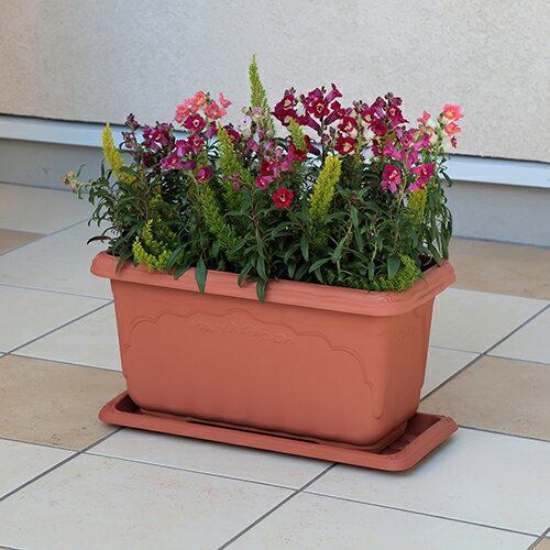 アップルウェアー クィーン深型600 ホワイト フカ600ホワイト