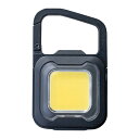 ライテックス 充電式スーパーフラッシュライト6W ブラック COB-WL005BK