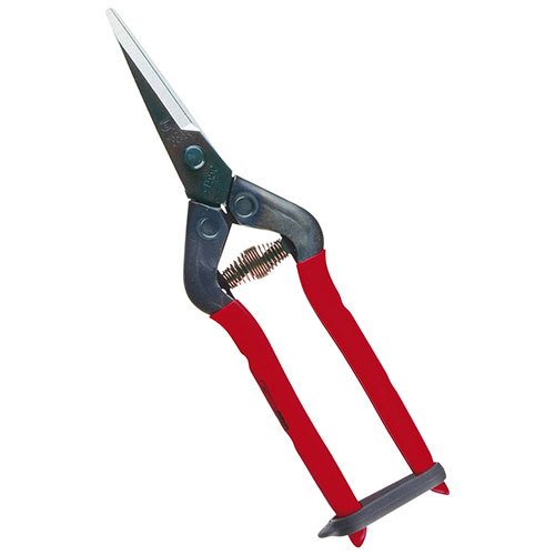 ［2個までゆうパケ対応］チカマサ 芽切・摘果鋏 T-55CH