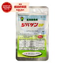 石原バイオ シバゲンDF 100g 水和剤【取寄品】