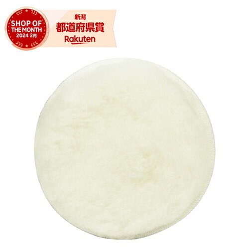 藤原産業 SK11 ランダムサンダー用ボンネット 125MM