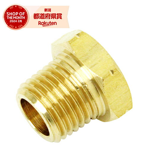 ［10個までゆうパケ対応］藤原産業 SK11 ブッシング 2M×1F NB-1021 0750