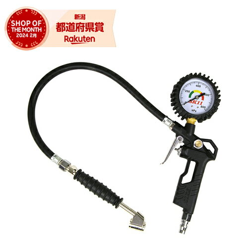 藤原産業 SK11 エアーチャックガン デュアル ATG-003