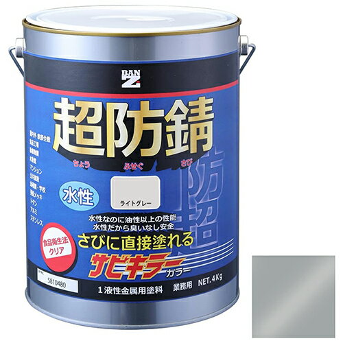 ★【在庫限り】 BAN-ZI サビキラーカラ— ライトグレー 4kg ライトグレー【取寄品】