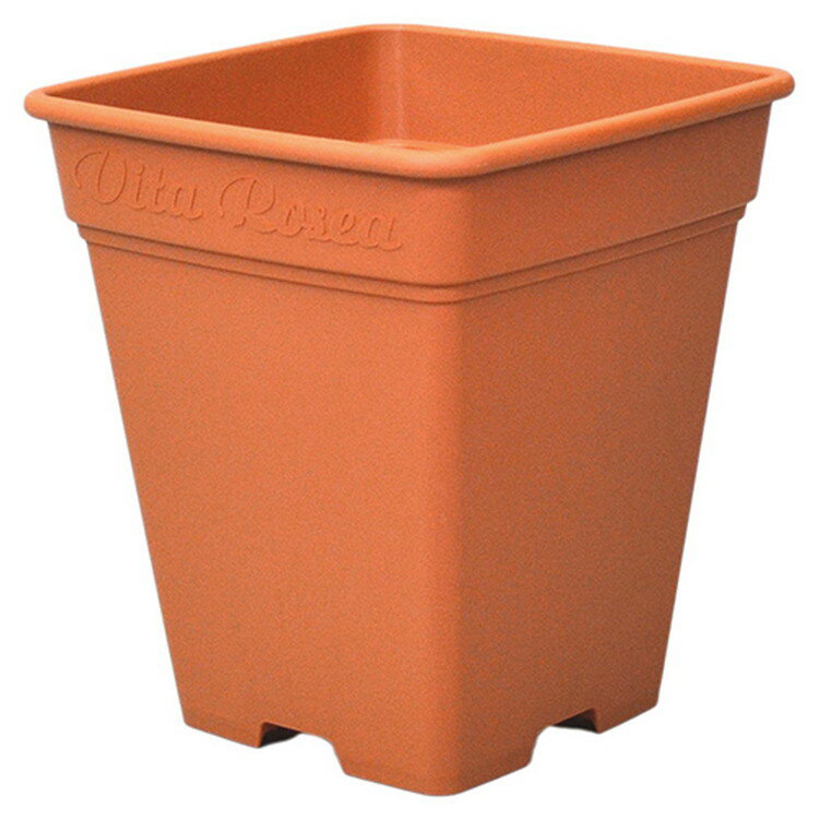 アップルウェアー ロゼアスクエア 260ガタ ブラウン【取寄品】