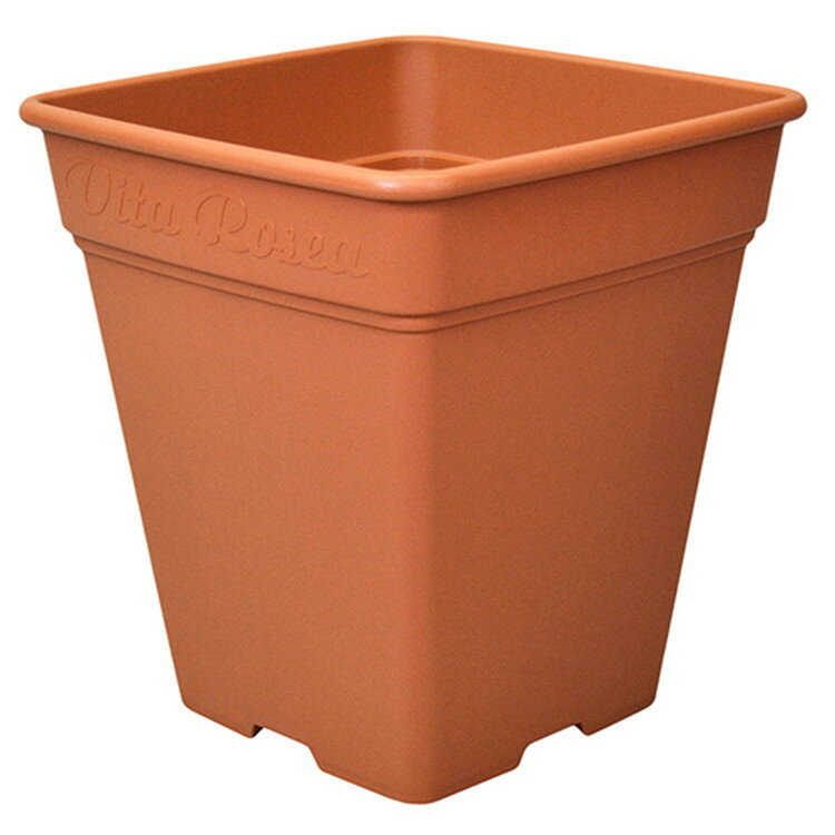 アップルウェアー ロゼアスクエア 390ガタ ブラウン【取寄品】