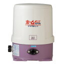 寺田 浅井戸用ホームポンプ50HZ THP-81KF