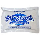 荘快堂 壮快堂 保冷剤「アイスちゃん」K-1 K-1【取寄品】