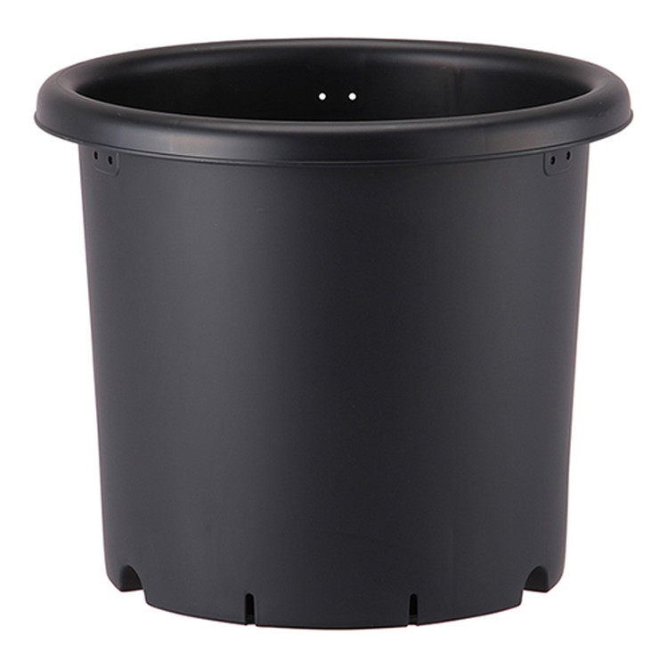 アップルウェアー 菊鉢 6号 ブラック【取寄品】