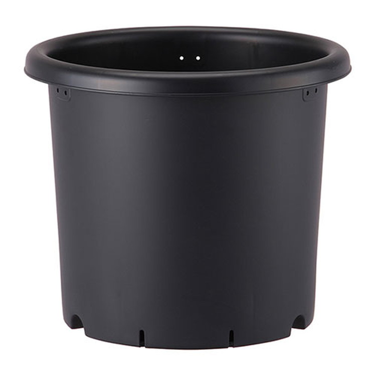 ޡŷԾŹ㤨֥åץ륦 ȭ 10 ֥åڼʡۡפβǤʤ1,507ߤˤʤޤ