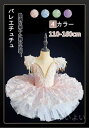 【送料無料】ダンス服 お洒落 秋 夏 春 半袖 バレエチュチュ 演出用 練習着 バレエ形体服 バレエ発表会 子ども 女の子 新体操 ダンス衣装 ズ