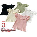 【送料無料】ベビー Tシャツ 幼児 赤ちゃん 可愛い 子供 ベビー服 トップス Tシャツ 襟 フリル プレゼント キッズ服 73 出産祝い 料ギフト