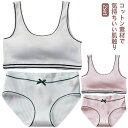 【送料無料】アンダーウェア インナー ブラジャー 女の子 大人 カップ付き パッド付き ショーツ ジュニア下着セット ジュニア下着