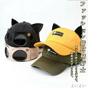【送料無料】メッシュ 飛行士 眼鏡 猫耳 可愛い 韓国 おしゃれ uv ぼうし オールシーズン 深め レディース サングラス付き