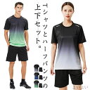 【送料無料】短パン スポーツウェア 半袖 レディース ランニングウェア 夏 トレーニングウェア 2点セット 上下セット