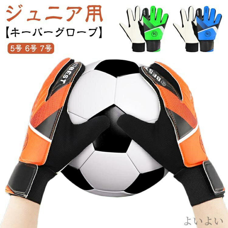 ̵ۥեåȥ Ƥ֤ å å  ȥ졼˥ ˥ 륭ѡ å 5/6/7