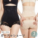 【送料無料】無地 後ろ開き 大きいサイズ パンツ パンティー インナー 産後 補正下着 女性用下着 レディース ハイウエスト