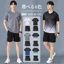 【送料無料】バスケット サッカー 着やすい 涼しい さわやか サラッ 通気 運動着 フィットネスウェア 吸汗速乾 タイツ