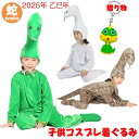 【送料無料】蛇 コスプレ 子供 へび 着ぐるみ キッズ 大人ヘビ パジャマ 巳年 被り物 コスチューム 2025年 干支乙巳年 年賀状 ハロウィンクリスマス 仮...